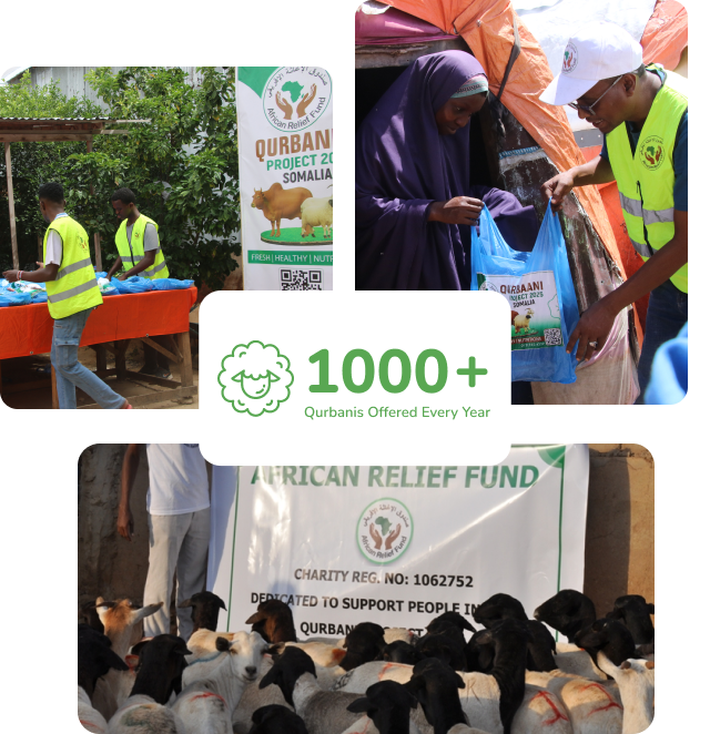 Relief Distribution