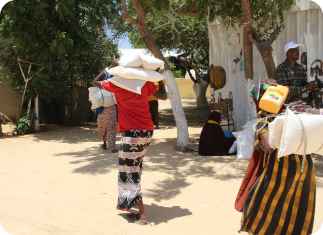 Qurbaani Project 2025 Somalia — herd of goats at distribution site
